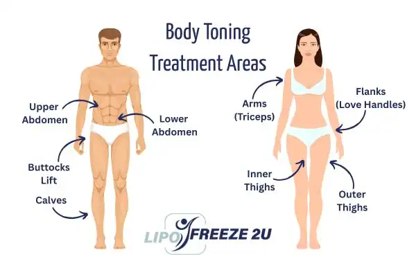 Graphic showing where you can have Body toning Treatment West Yorkshire on your body